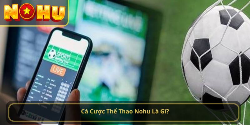 Cá Cược Thể Thao Nohu Là Gì?