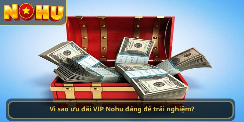Vì sao ưu đãi VIP Nohu đáng để trải nghiệm?